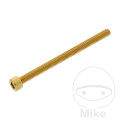JMP Tornillo cilíndrico aluminio cabeza hexagonal M6X1.00 MM 775.06.79VAR