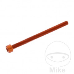 JMP Tornillo cilíndrico aluminio cabeza hexagonal M6X1.00 MM 775.06.79VAR