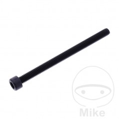 JMP Tornillo cilíndrico aluminio cabeza hexagonal M6X1.00 MM 775.06.79VAR