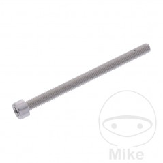 JMP Tornillo cilíndrico aluminio cabeza hexagonal M6X1.00 MM 775.06.79VAR