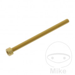JMP Tornillo cilíndrico aluminio cabeza hexagonal M6X1.00 MM 775.06.79VAR