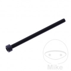 JMP Tornillo cilíndrico aluminio cabeza hexagonal M6X1.00 MM 775.06.79VAR