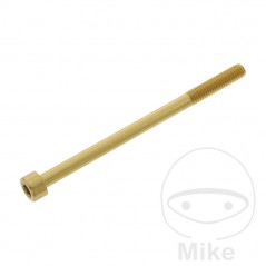 JMP Tornillo cilíndrico aluminio cabeza hexagonal M6X1.00 MM 775.06.79VAR