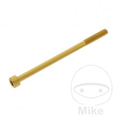JMP Tornillo cilíndrico aluminio cabeza hexagonal M6X1.00 MM 775.06.79VAR