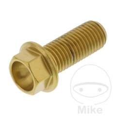 JMP Tornillo hexagonal de acero inoxidable M10X1.25 MM V4A 775.31.52VAR