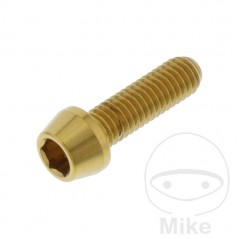 JMP Tornillo cónico de acero inoxidable M6X1.00 MM V4A 775.32.81VAR
