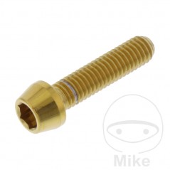 JMP Tornillo cónico de acero inoxidable M6X1.00 MM V4A 775.32.81VAR