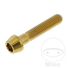 JMP Tornillo cónico de acero inoxidable M6X1.00 MM V4A 775.32.81VAR