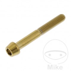 JMP Tornillo cónico de acero inoxidable M6X1.00 MM V4A 775.32.81VAR