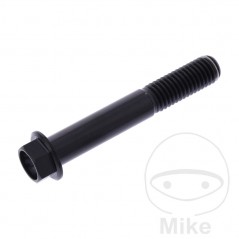 JMP Tornillo hexagonal titanio M10X1.5 MM 775.43.16VAR