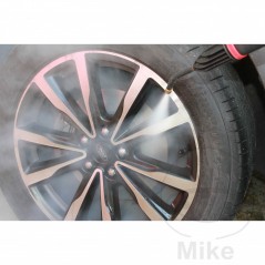 TORNADOR steam cleaner machine 230V 2200+1000W 685.03.93