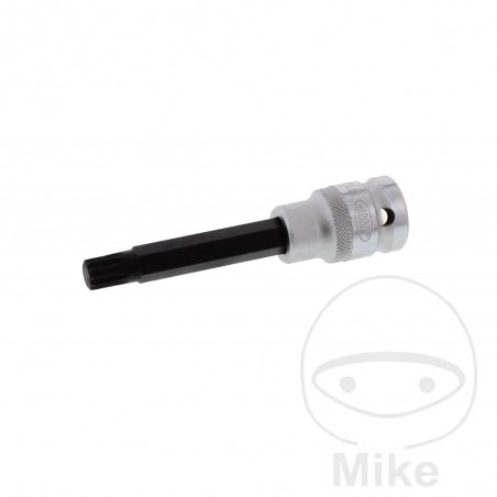 JMP Vaso de punta 100 MM MULTIDENT 1/2 M10 605.02.97