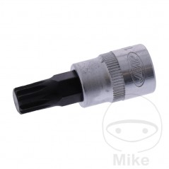 JMP Vaso de punta 48 MM MULTIDENT 3/8 M10 605.06.83