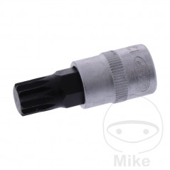 JMP Vaso de punta 48 MM MULTIDENT 3/8 M12 605.06.84