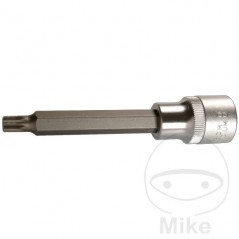 CONDOR Vaso de punta 100 MM MULTIDENT 1/2 M16 605.34.17