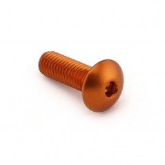 Head aluminum screw  M8 x (1.25mm) x 25mm LFB825