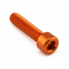 Cylindrical head aluminum screw  M8 x (1.25mm) x 35mm LPB835