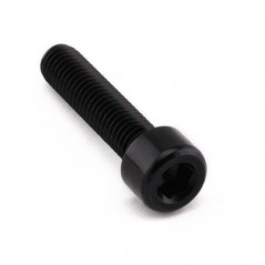 Cylindrical head aluminum screw  M8 x (1.25mm) x 35mm LPB835