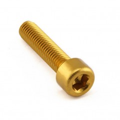 Cylindrical head aluminum screw  M8 x (1.25mm) x 35mm LPB835