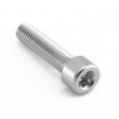 Cylindrical head aluminum screw  M8 x (1.25mm) x 35mm LPB835
