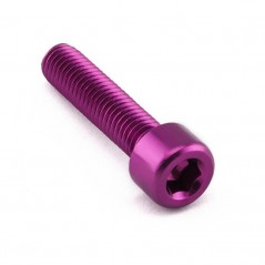Cylindrical head aluminum screw  M8 x (1.25mm) x 35mm LPB835