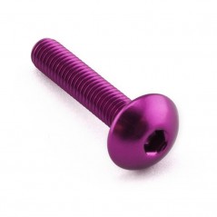 Head aluminum screw  M5 x (0.8mm) x 25mm LFB525