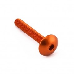 Head aluminum screw  M6 x (1.00mm) x 40mm LFB640