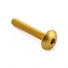 Head aluminum screw  M6 x (1.00mm) x 40mm LFB640