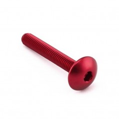 Head aluminum screw  M6 x (1.00mm) x 40mm LFB640