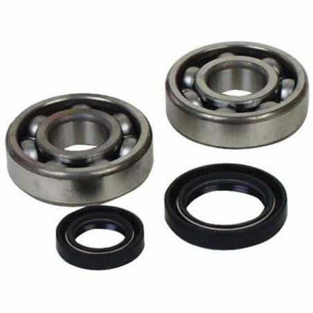 PROX crankshaft bearings 1017477