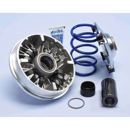 POLINI Variador alta velocidad con 12 rodillos 1107213