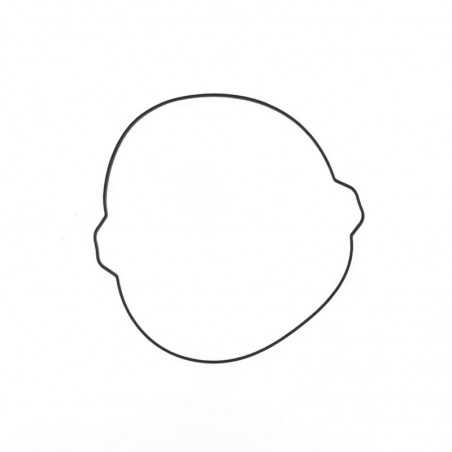 ATHENA Clutch cover gasket 1013611