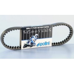 POLINI standard drive belt 1044741