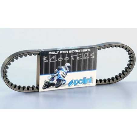 POLINI standard drive belt 1044741