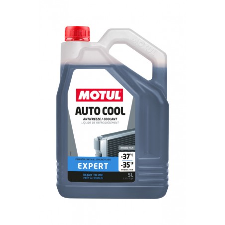 MOTUL Anticongelante refrigerante para coche AUTO COOL EXPERT -37ºC 5L (4UD) 111733