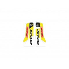 BLACKBIRD RACING Fork protector stickers DREAM 4 1118225