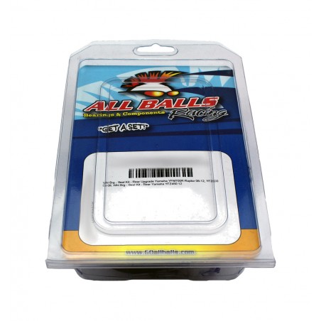 ALL BALLS Carburetor repair kit 1118273