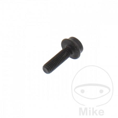 Allen screw M6X1.0 26 MM 717.18.50
