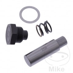 Timing chain tensioner kit OEM 741.08.31