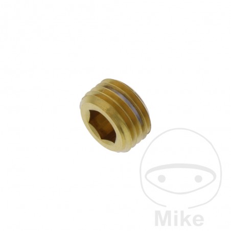 Stainless steel plug for brake pad pin X V4A 775.40.69