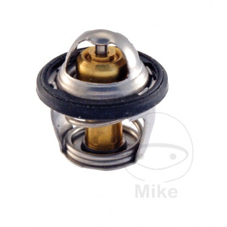 Termostato refrigeración motor 776.09.78