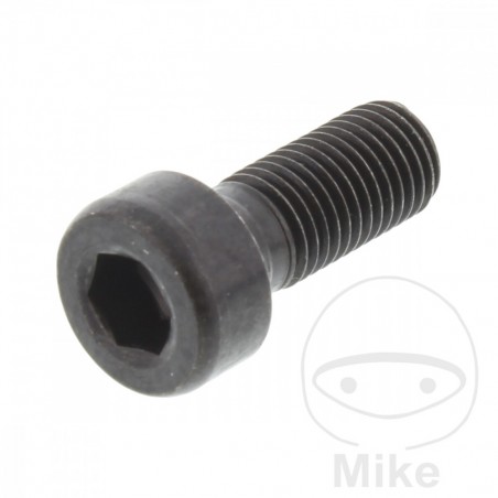 Cylindrical screw M8X1.00 MM 26 717.09.81