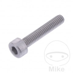 JMP Tornillo cilíndrico cabeza hexagonal de aluminio M4X0.7 MM 775.04.49VAR