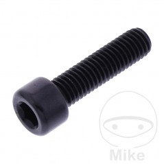 JMP Tornillo cilíndrico cabeza hexagonal de aluminio M8X1.25 MM 775.06.88VAR
