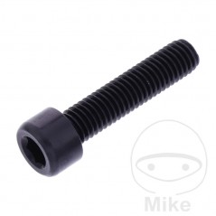JMP Tornillo cilíndrico cabeza hexagonal de aluminio M8X1.25 MM 775.06.88VAR
