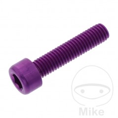 JMP Tornillo cilíndrico cabeza hexagonal de aluminio M8X1.25 MM 775.06.88VAR