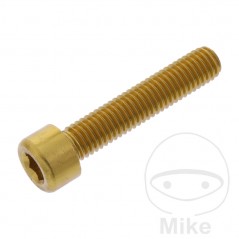 JMP Tornillo cilíndrico cabeza hexagonal de aluminio M8X1.25 MM 775.06.88VAR
