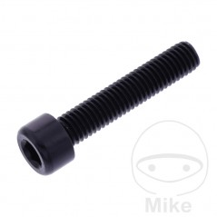 JMP Tornillo cilíndrico cabeza hexagonal de aluminio M8X1.25 MM 775.06.88VAR