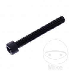 JMP Tornillo cilíndrico cabeza hexagonal de aluminio M8X1.25 MM 775.06.88VAR