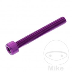 JMP Tornillo cilíndrico cabeza hexagonal de aluminio M8X1.25 MM 775.06.88VAR